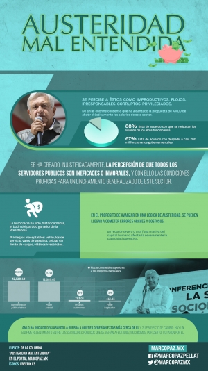 036_INFOGRAFIA_austeridad mal entendida copy