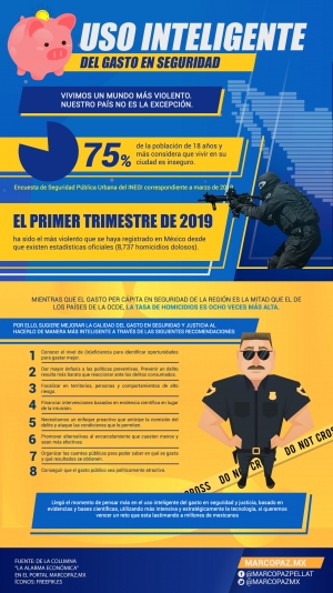 10 infografia Uso inteligente del gasto en seguridad copia