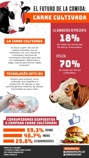 171_INFOGRAFIA_CARNE-CULTIVADA