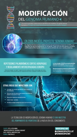 84_INFOGRAFIA_Modificación del genoma humano copy