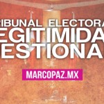 Tribunal Electoral:  legitimidad  cuestionada