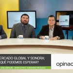 El mercado global y Sonora: ¿Qué podemos esperar?