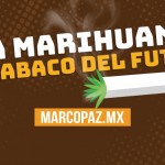 La marihuana: el tabaco del futuro