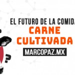 El futuro de la comida: carne cultivada