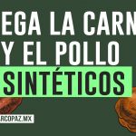 Llega la carne y el pollo sintéticos