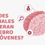 ¿Redes sociales alteran cerebro de jóvenes?